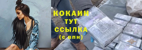 ПСИЛОЦИБИНОВЫЕ ГРИБЫ Верея