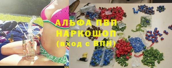 ПСИЛОЦИБИНОВЫЕ ГРИБЫ Верея